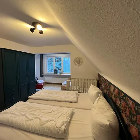 Platell Ferienhaeuser Harz Lonau Holiday home *