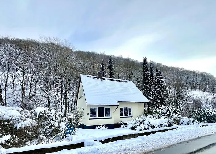 Platell Ferienhaeuser Harz Lonau Dom wakacyjny